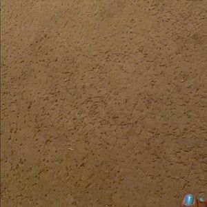 Meet your Posher, Kaylen